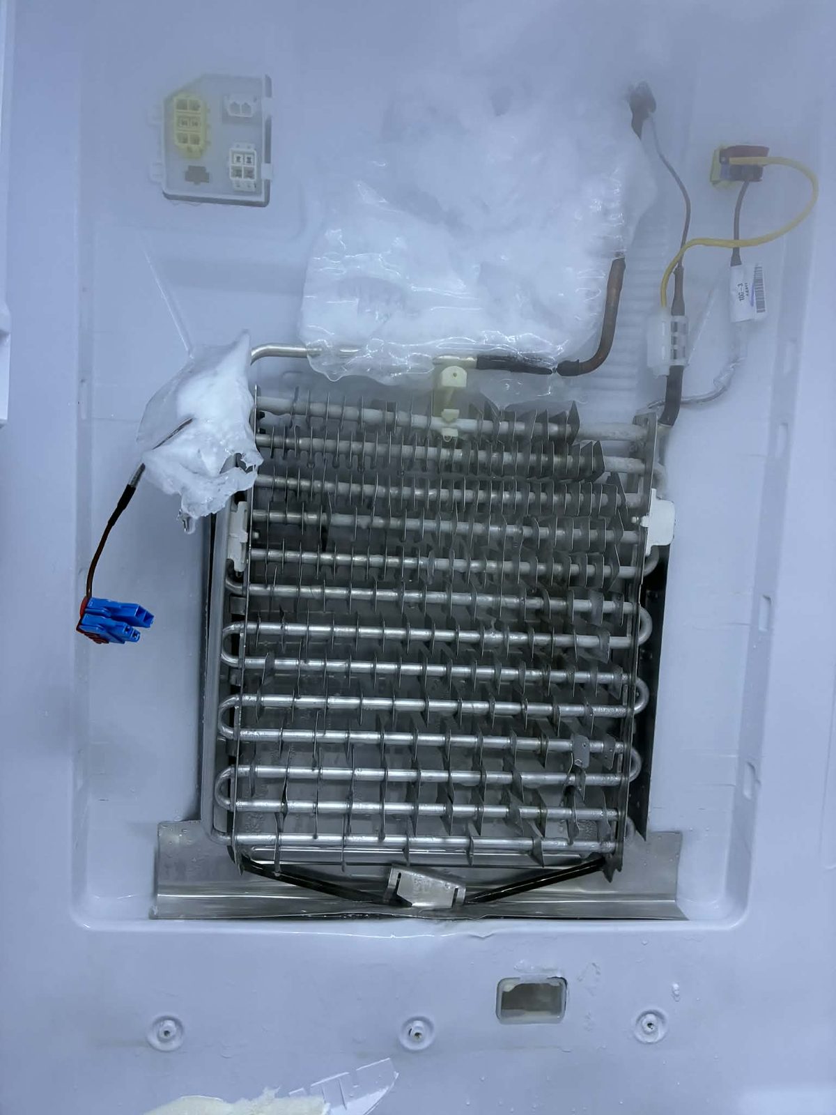 Refrigerator evaporator coil and internal components being repaired by Nugent's Appliance Repair — Central Kentucky appliance repair